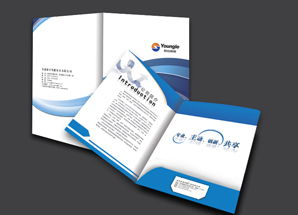 福州鼓樓區(qū)創(chuàng)越廣告設(shè)計(jì)公司 專(zhuān)業(yè)設(shè)計(jì)，塑造品牌形象